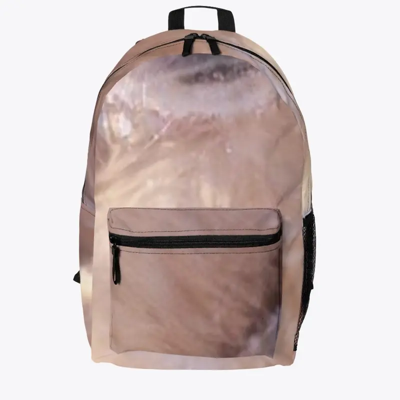 Back pack